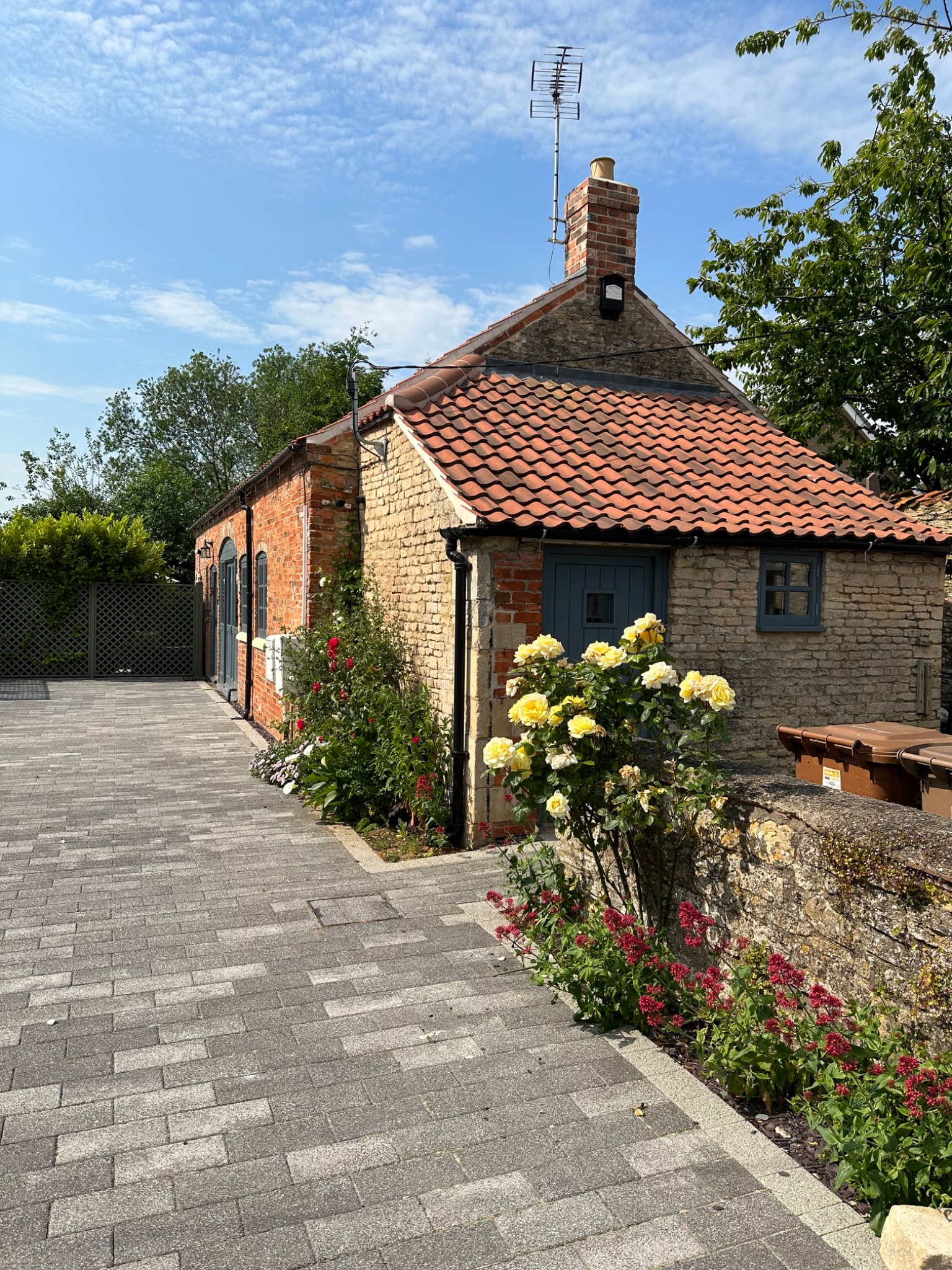Flowering roses along the paved approach to The Coach House