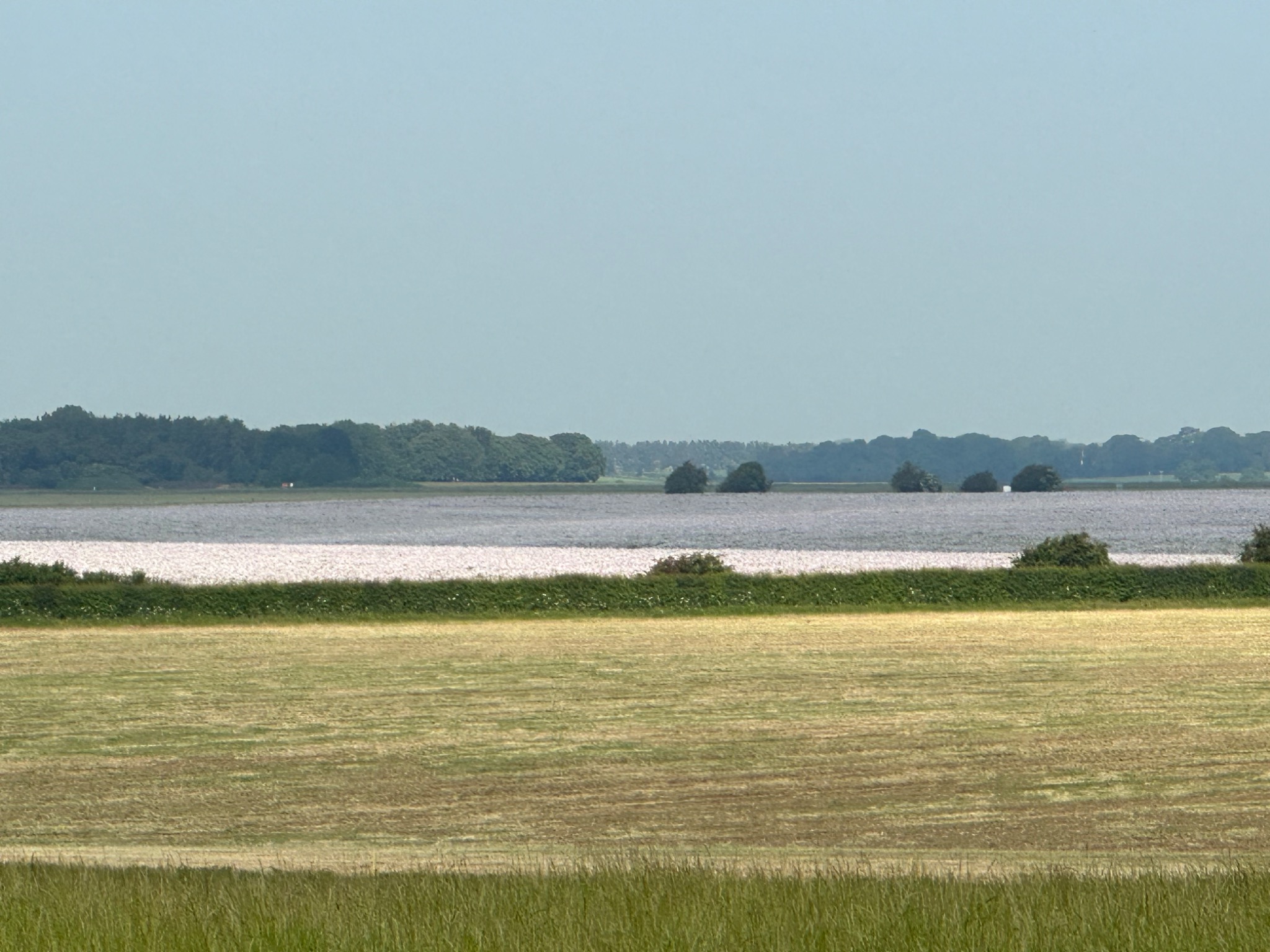 A broad view across Lincolnshire fields