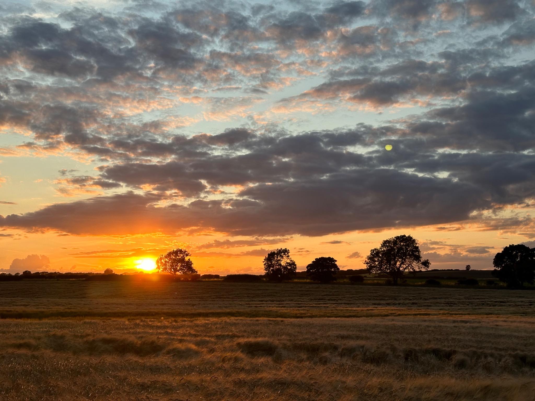 Sunset over open fields and trees